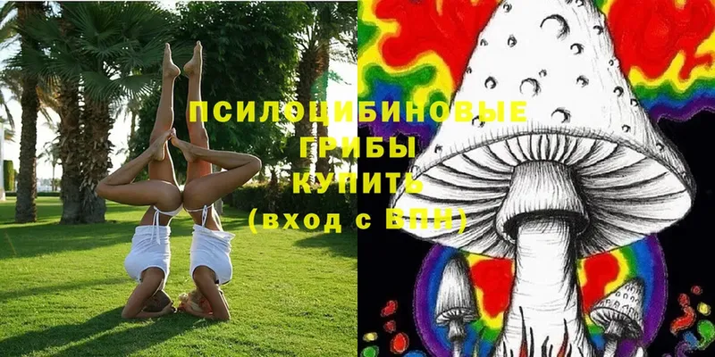 ссылка на мегу как войти  Духовщина  Галлюциногенные грибы Psilocybine cubensis  даркнет сайт 